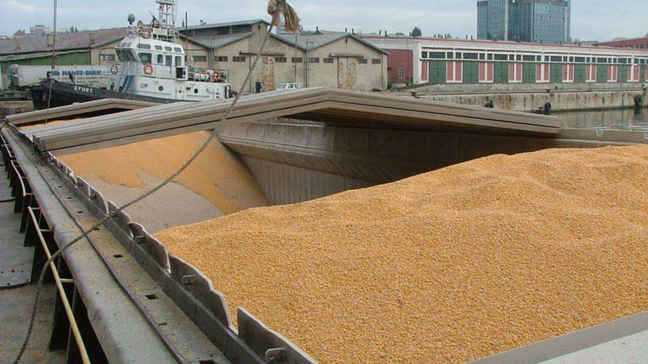 Top destinații pentru grâul moldovenesc - agroexpert.md