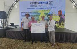 De ce să alegi hibrizii de rapiță de la Corteva - agroexpert.md