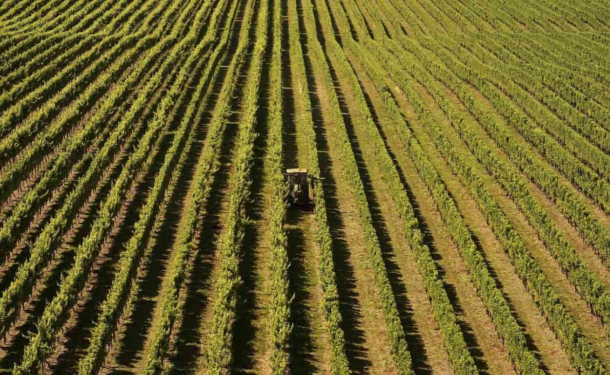 Через программу Leader реализовали инфраструктурные проекты на 170 млн леев - agroexpert.md