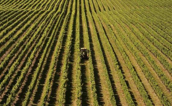 Через программу Leader реализовали инфраструктурные проекты на 170 млн леев - agroexpert.md