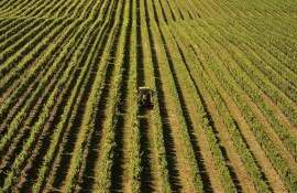 Через программу Leader реализовали инфраструктурные проекты на 170 млн леев - agroexpert.md