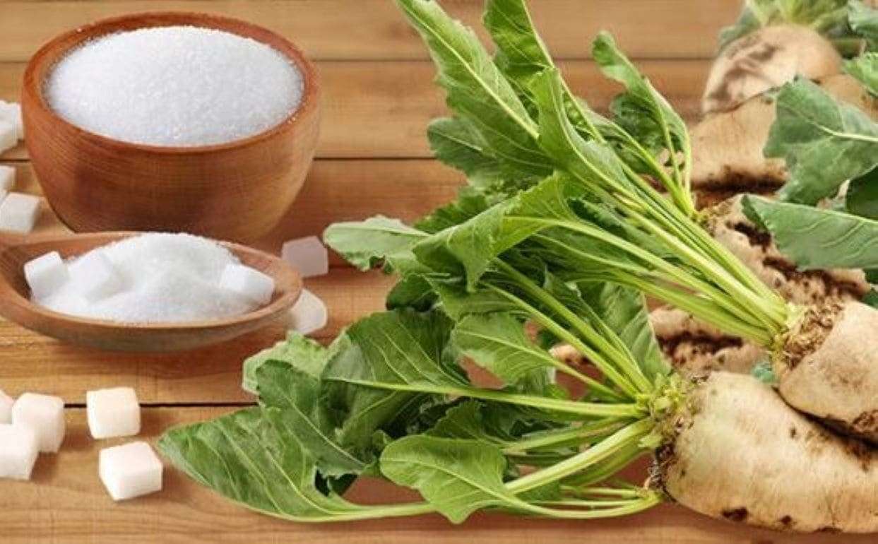Почему украинские аграрии сворачивают производство сахарной свеклы - agroexpert.md