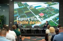 Exporturile către Olanda - agroexpert.md
