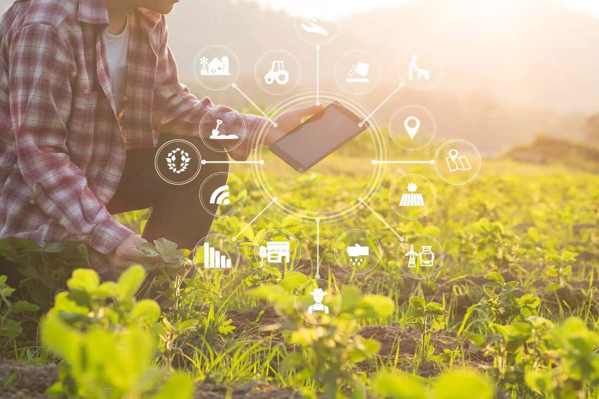 Admiterea UTM e în plină desfășurare STUDII AGRICULTURĂ - agroexpert.md