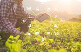 Admiterea UTM e în plină desfășurare STUDII AGRICULTURĂ - agroexpert.md