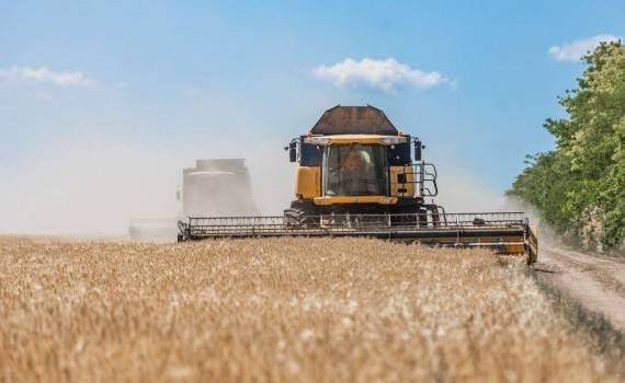 В Приднестровье убрано 40% зерновых: озимая пшеница, ячмень, рапс - agroexpert.md