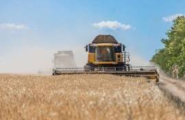 В Приднестровье убрано 40% зерновых: озимая пшеница, ячмень, рапс - agroexpert.md