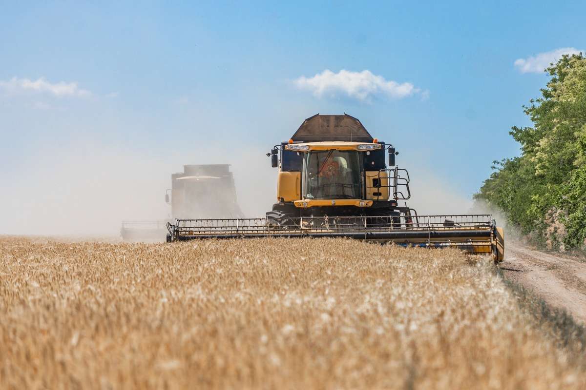 В Приднестровье убрано 40% зерновых: озимая пшеница, ячмень, рапс - agroexpert.md