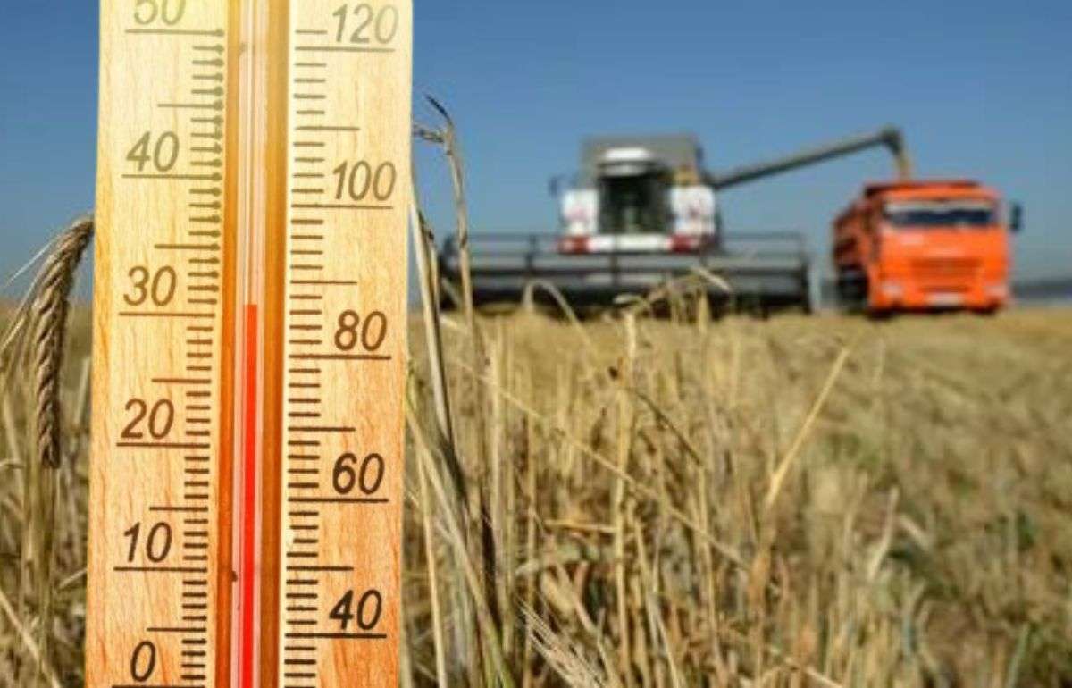 В Молдове объявлен оранжевый и жёлтый коды из-за сильной жары - agroexpert.md