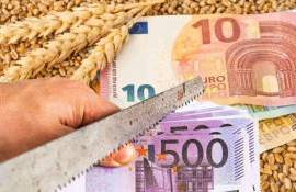 ЕС сократит выплаты аграриям, несмотря на обещания их не трогать - agroexpert.md