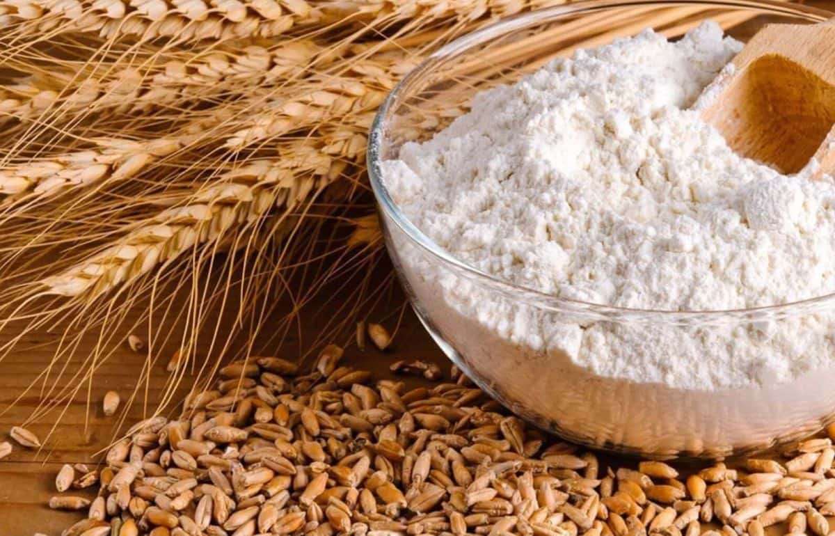 Цены на продовольственную пшеницу в Украине за неделю выросли на 10$ - agroexpert.md