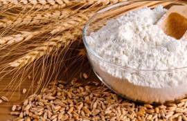 Цены на продовольственную пшеницу в Украине за неделю выросли на 10$ - agroexpert.md