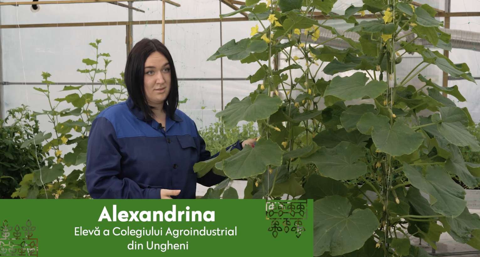 Are loc admiterea la studii: Alege o specialitate agricolă - agroexpert.md