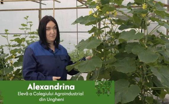Are loc admiterea la studii: Alege o specialitate agricolă - agroexpert.md