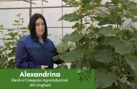 Are loc admiterea la studii: Alege o specialitate agricolă - agroexpert.md