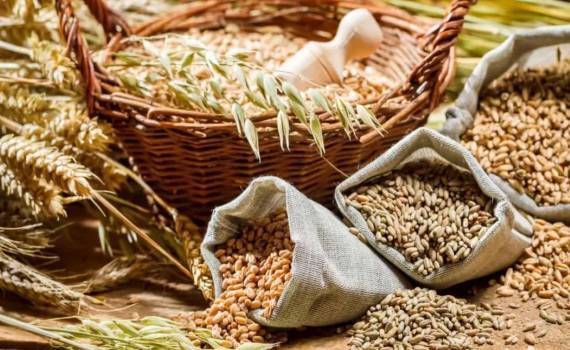 Мировые цены на продукцию растениеводства останутся низкими - AgResource - agroexpert.md