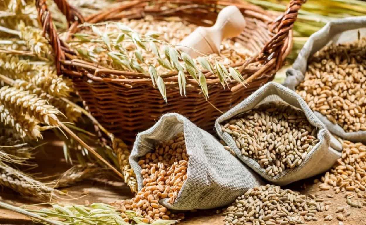 Мировые цены на продукцию растениеводства останутся низкими - AgResource - agroexpert.md