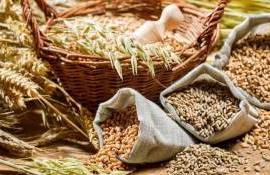 Мировые цены на продукцию растениеводства останутся низкими - AgResource - agroexpert.md