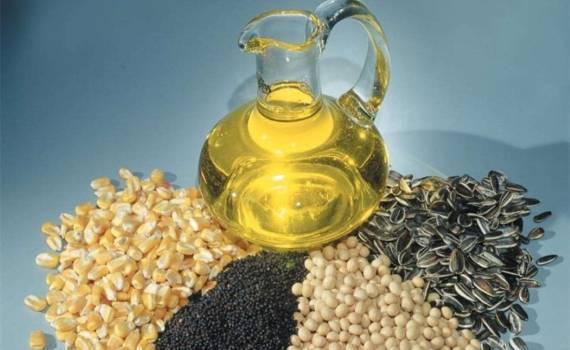 Созданы условия для полной переработки масличных культур - agroexpert.mdв Украине 