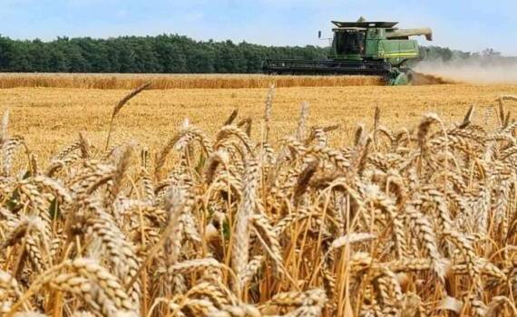 Аналитики MARS повысили оценки урожайности ранних зерновых в ЕС - agroexpert.md
