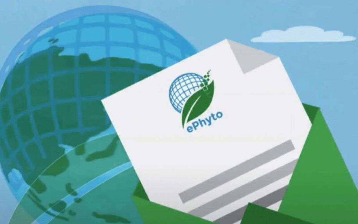 ANSA выдала первый электронный фитосанитарный сертификат через ePhyto - agroexpert.md