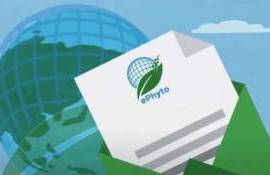 ANSA выдала первый электронный фитосанитарный сертификат через ePhyto - agroexpert.md