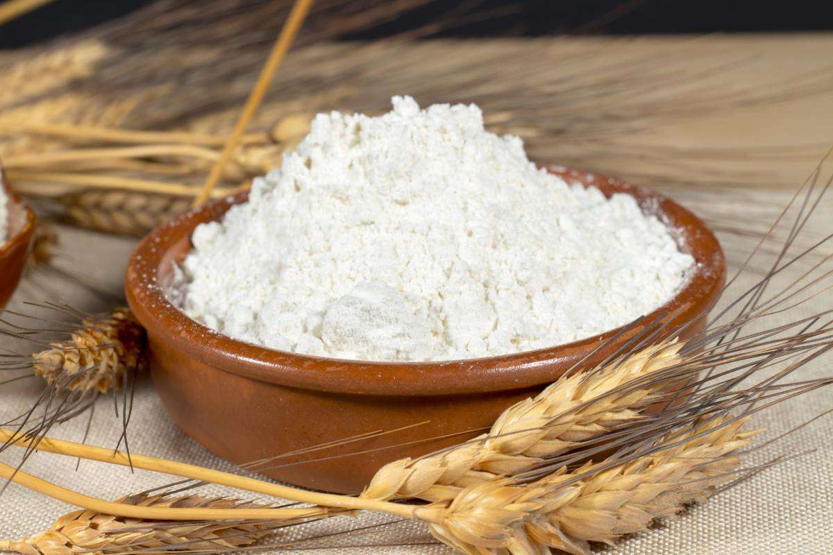 Faina de grâu export - agroexpert.md
