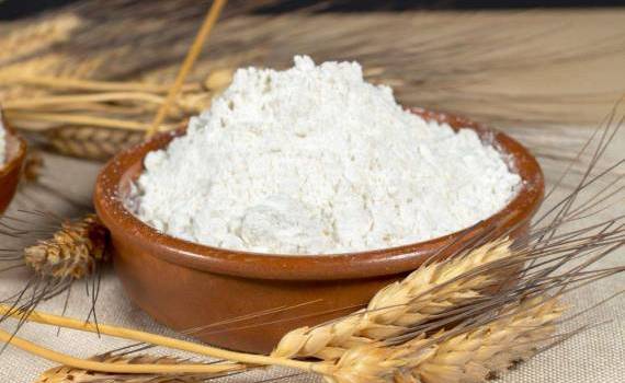 Faina de grâu export - agroexpert.md