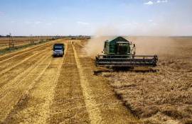 На украинском рынке пшеницы повторяются тенденции сезона 2020/21 - agroexpert.md