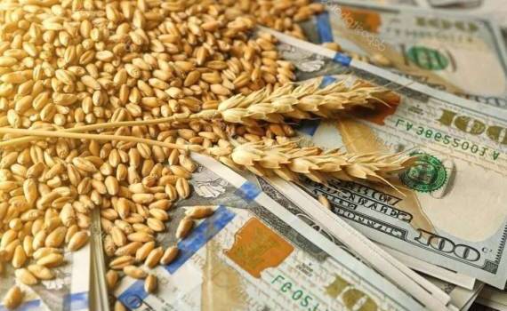 Обнародованы результаты тендера Туниса на закупку пшеницы - agroexpert.md