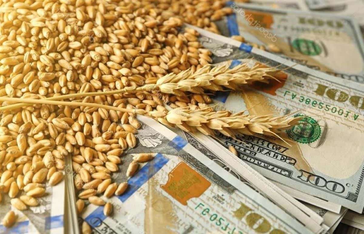 Обнародованы результаты тендера Туниса на закупку пшеницы - agroexpert.md