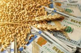 Обнародованы результаты тендера Туниса на закупку пшеницы - agroexpert.md