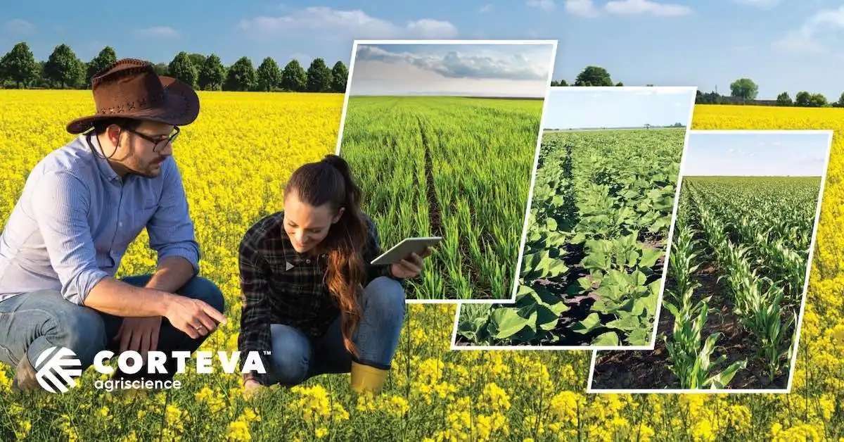 Corteva Agriscience angajează Teritory Sales Specialist - agroexpert.md