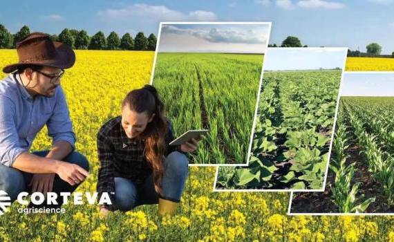 Corteva Agriscience angajează Teritory Sales Specialist - agroexpert.md