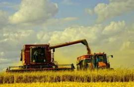 Agricultorii pot transporta recolta chiar și în zilele caniculare - agroexpert.md