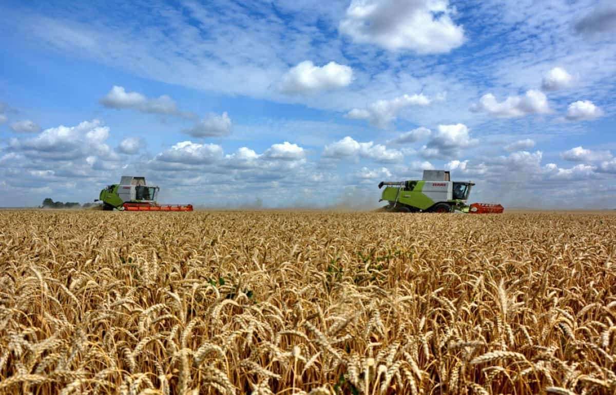 В Украине темпы уборки зерновых отстают от почти вдвое - agroexpert.md