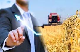 В Молдове выросло число малых и средних аграрных предприятий - agroexpert.md