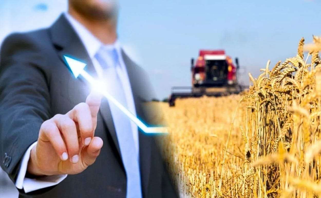 В Молдове выросло число малых и средних аграрных предприятий - agroexpert.md