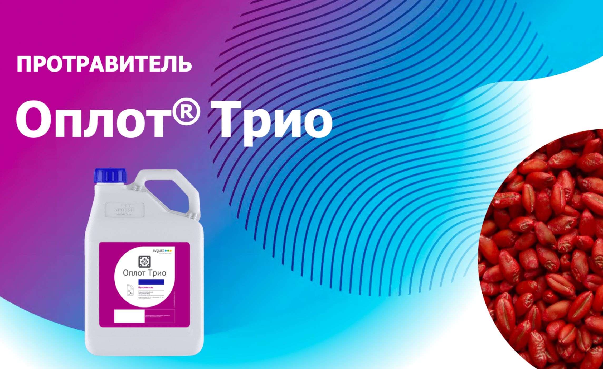 Оплот® Трио – комплексная защита семян - agroexpert.md