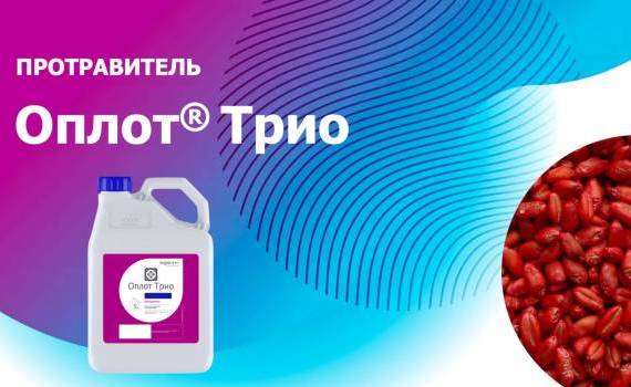 Оплот® Трио – комплексная защита семян - agroexpert.md