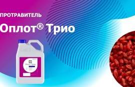 Оплот® Трио – комплексная защита семян - agroexpert.md
