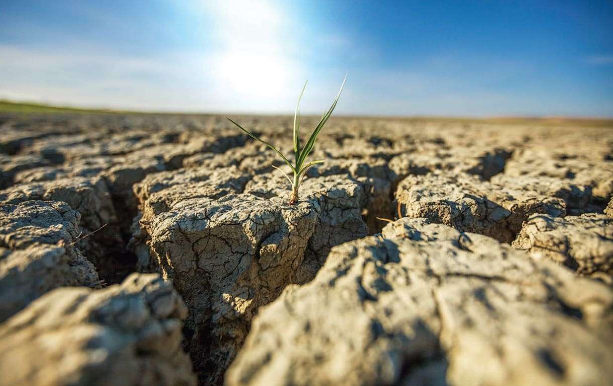 Риски засухи на годы вперёд: сможет ли Молдова адаптироваться? - agroexpert.md