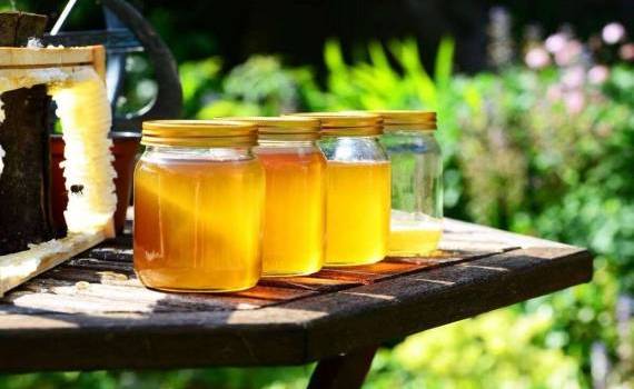 Apicultorii, în pragul colapsului: Care sunt principalele probleme - agroexpert.md