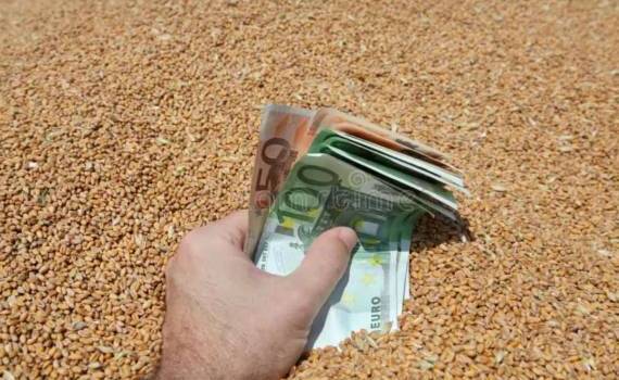 Европейский рынок пшеницы в понедельник: цены выросли на 1,9% - agroexpert.md