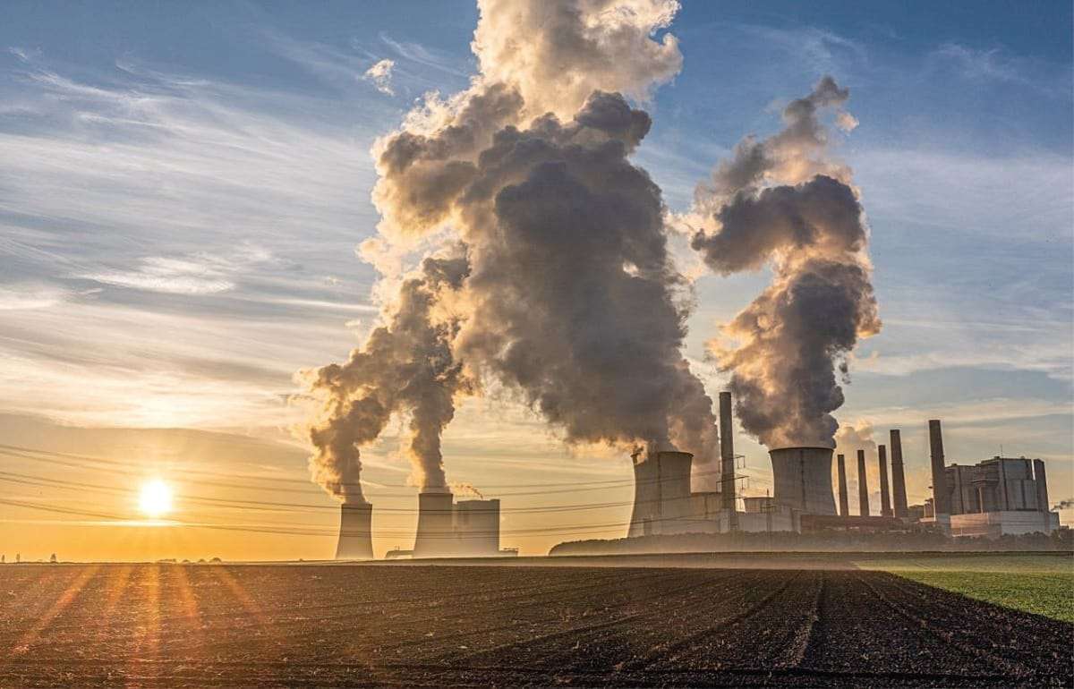Как молдавские фермеры могут превратить выбросы CO₂ в доход - agroexpert.md