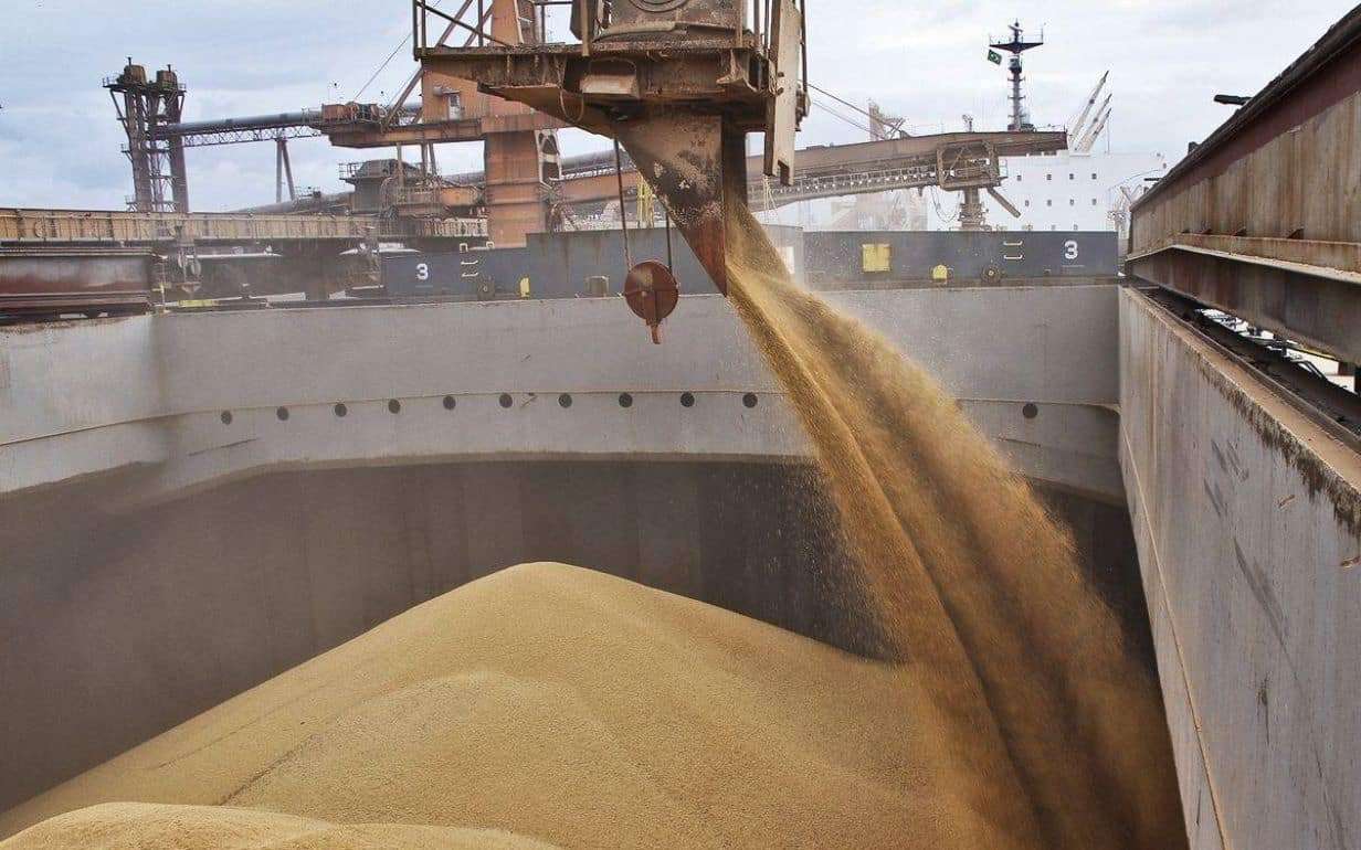 Эксперты прогнозируют рост темпов экспорта российской пшеницы - agroexpert.md