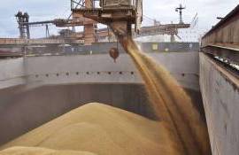 Эксперты прогнозируют рост темпов экспорта российской пшеницы - agroexpert.md
