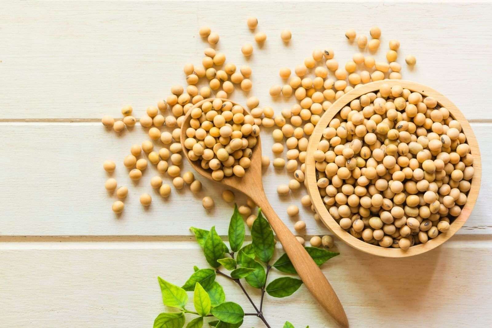 Producem prea puțină soia. Importurile acoperă 60% din cerere - agroexpert.md
