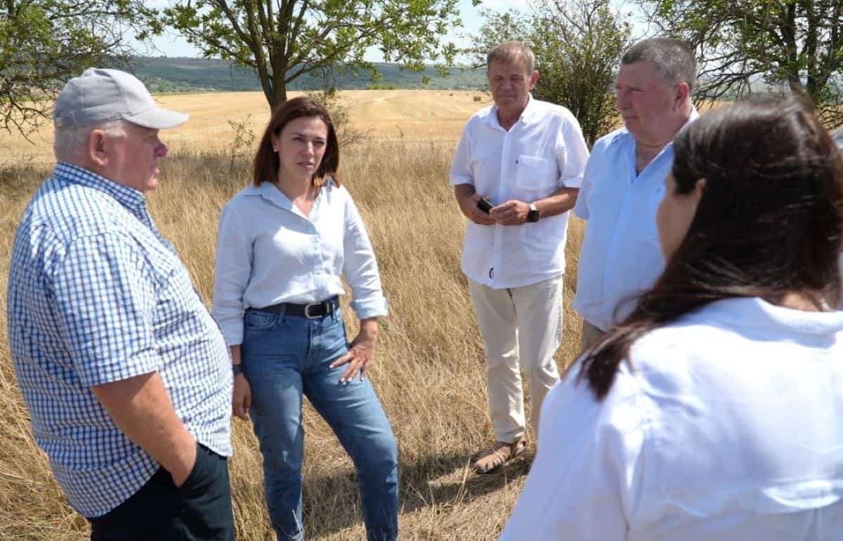 Глава Минсельхоза посетила Штефан-Водэ, чтобы оценить ущерб от засухи - agroexpert.md