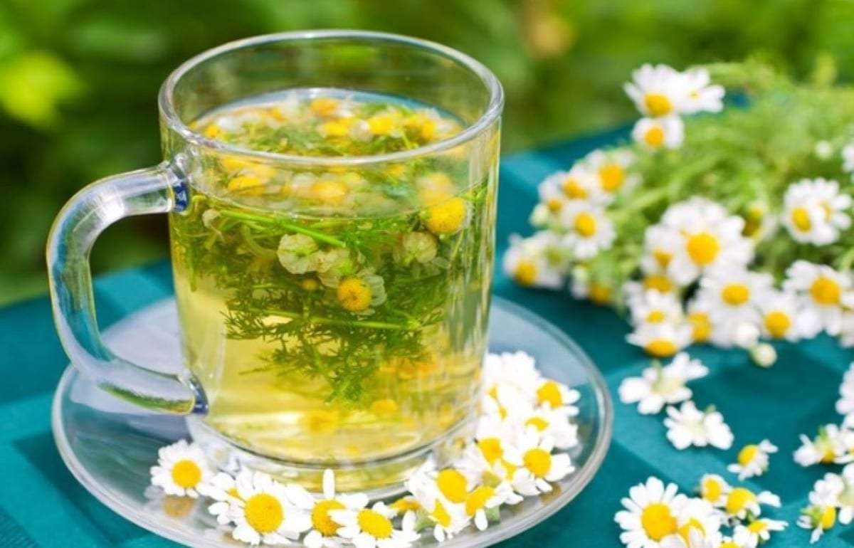 ANSA отозвала партию ромашкового чая из-за превышения алкалоидов - agroexpert.md